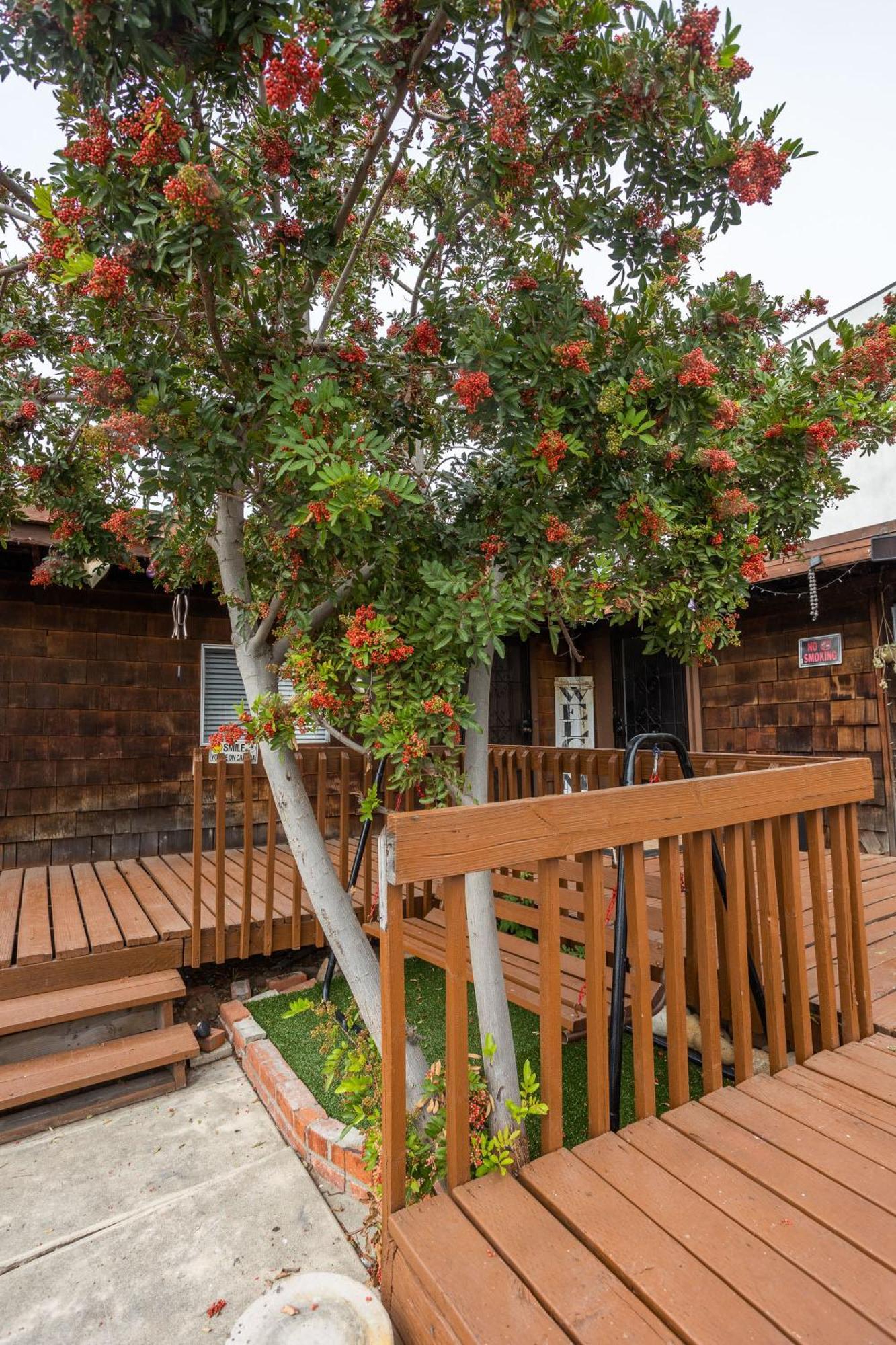 Spacious Guest Suite Amazing Location Σαν Ντιέγκο Εξωτερικό φωτογραφία